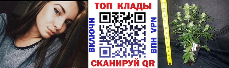 Alpha PVP Гусиноозёрск