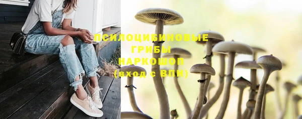spice Лагань