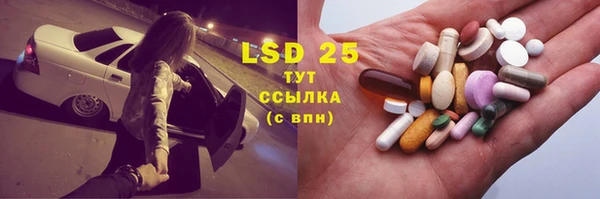 spice Лагань