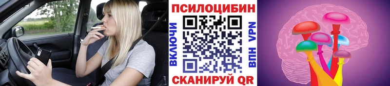 Псилоцибиновые грибы Psilocybine cubensis  цена наркотик  Гусиноозёрск 